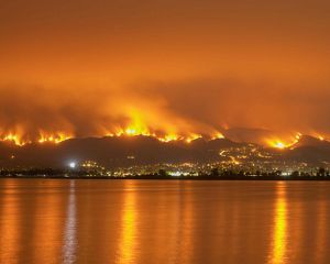 A wildfire rages along a hillside at night.