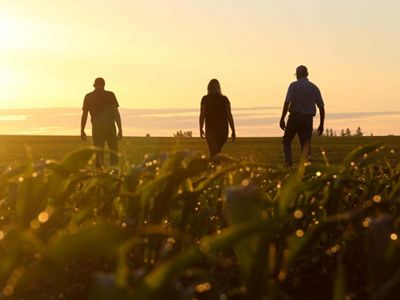 Three people walk through an agricultural field as the sun rises.