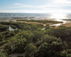 An aerial shot of Pak Nai highlighting its natural beauty.