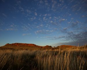 Australia's red mountains as viewed from the grassy plains.