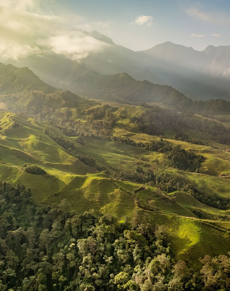 Aerial view of a green mountain area.