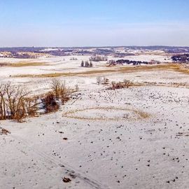 Minnesota grassland.