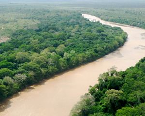 Muddy, winding river from above.