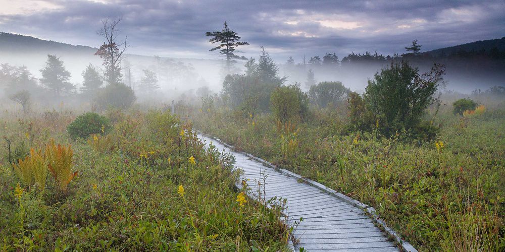 a mountain forest in fall colors.