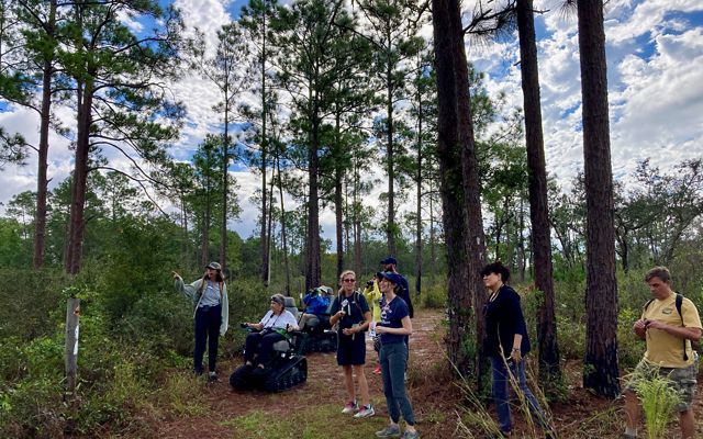 Volunteers trying track chairs in Tiger Creek Preserve to improve the trails accessibility.