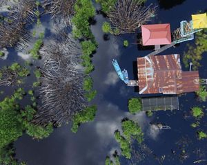 Aerial view of peatlands on the Koran River, Indonesia.