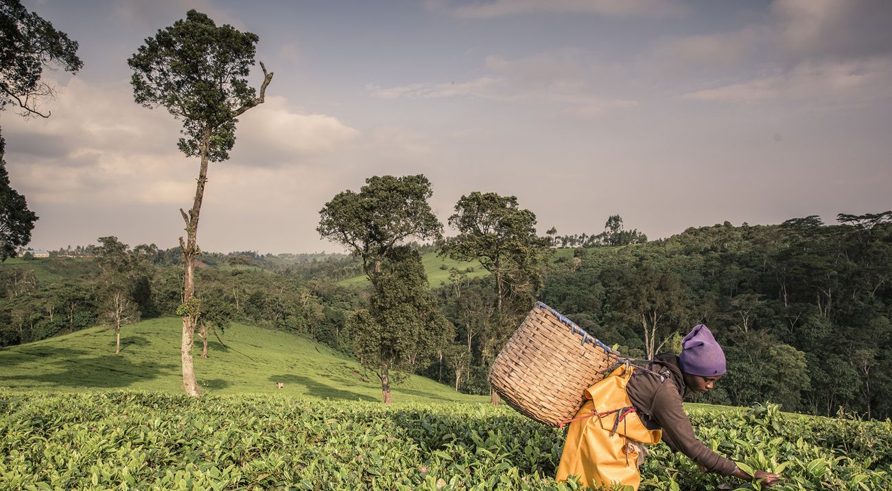 a series of videos showing food being produced on land and water.