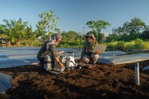 peat scientists in indonesia