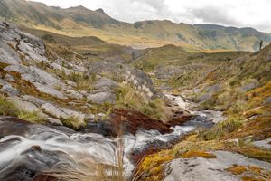 paramos