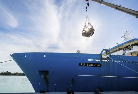 Tuna caught in net hangs above fishing vessel.