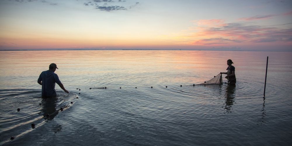 Matthew Kovach and Alexis Sakas stand waist deep in water and set fish traps in Lake Erie at sunset.