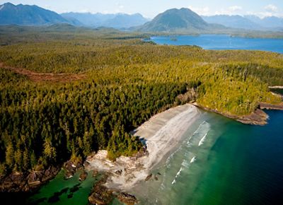 Aerial view of British Columbia's southern coast, with a body of water along the edge of dense forests and mountains in the distance.