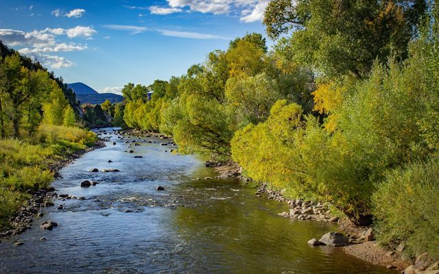 A broad, rocky stream running between tree-lined banks.
